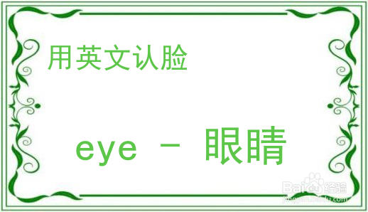 教你用英文认脸