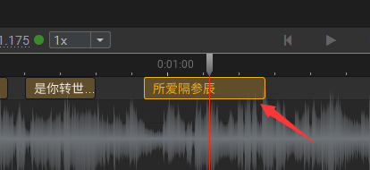 Arctime怎么快速制作字幕