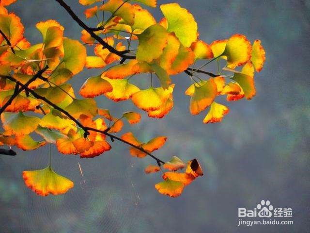 结婚前必须明白的六件事