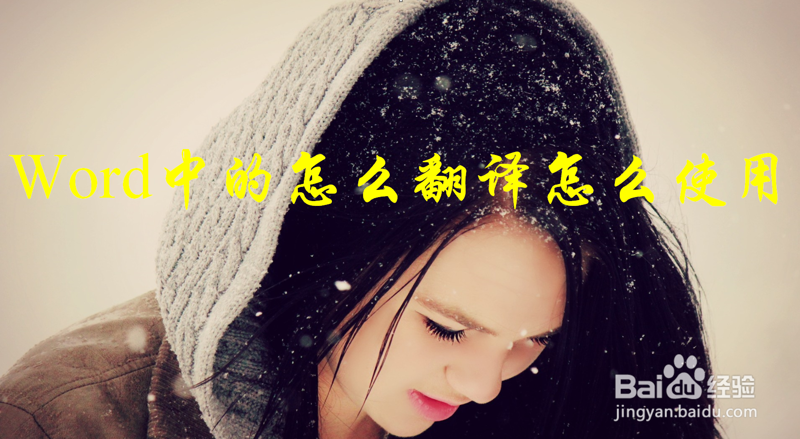 Word中的怎么翻译怎么使用