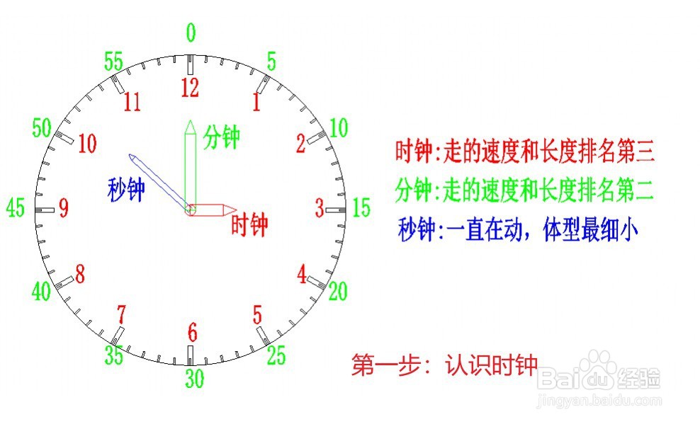 孩子认识钟表的窍门