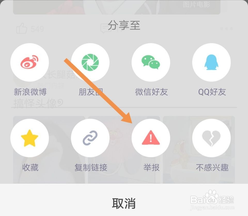 堆糖软件怎样举报违规内容