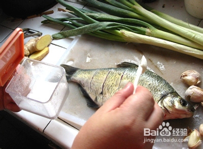 红烧鳊鱼的美味做法