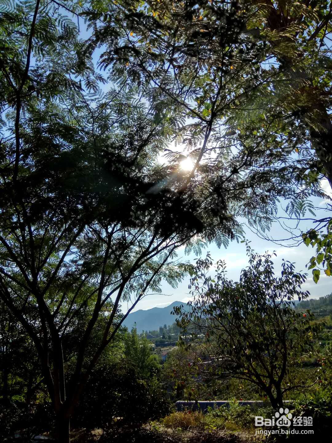 绿色旅游地推荐