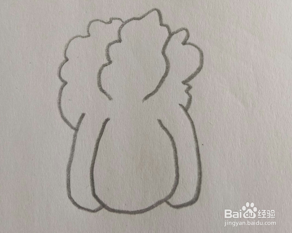 儿童简笔画白菜画法二