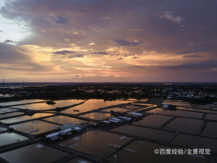 黄鸭叫怎么养殖