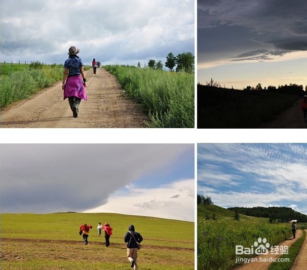 端午我们一起去呼伦贝尔草原、骑马驰骋大草原