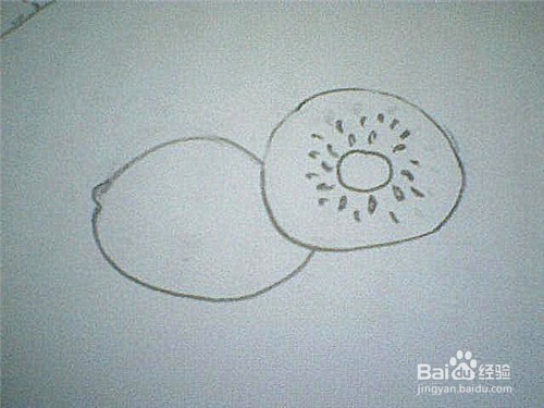 简笔画猕猴桃是这样画的