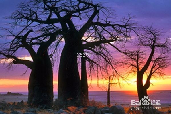 库布岛,在荒凉的世界上有绿色的饰物