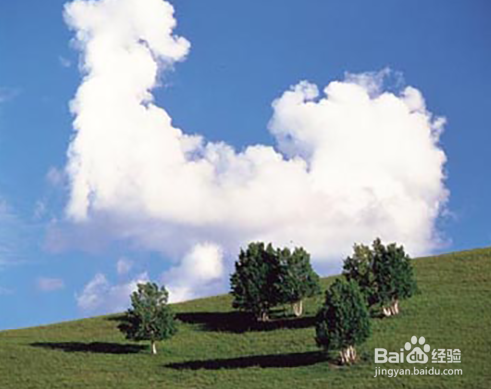 PSCC2018 怎么设置图像的半调图案素描效果