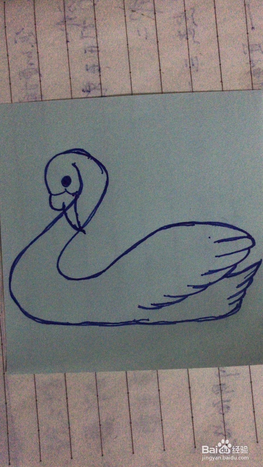 简笔画之大白鹅的画法