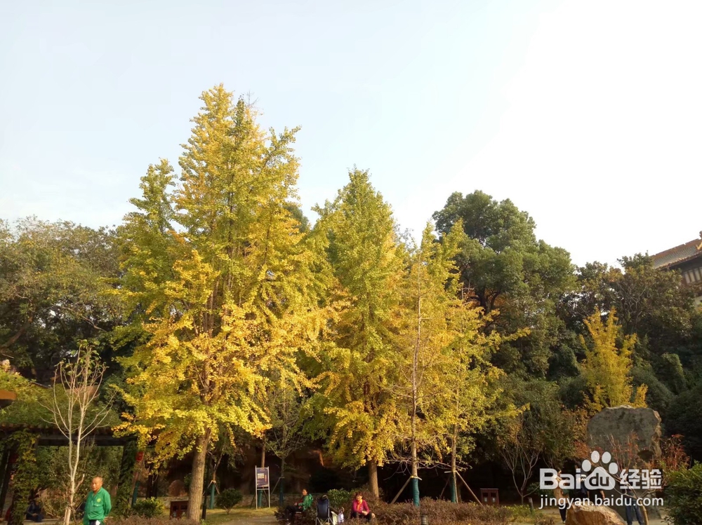 湖南长沙两日游