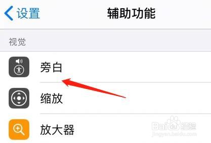 怎么查看iPhone旁白中的同步聚焦