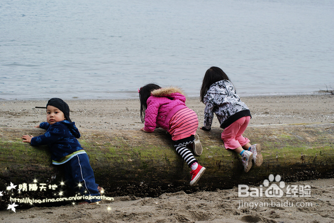 拾海的孩子&亲亲小动物(组图)