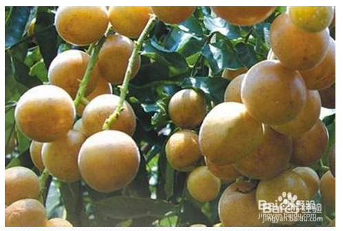 如何能让吃完饭后的你快速消化