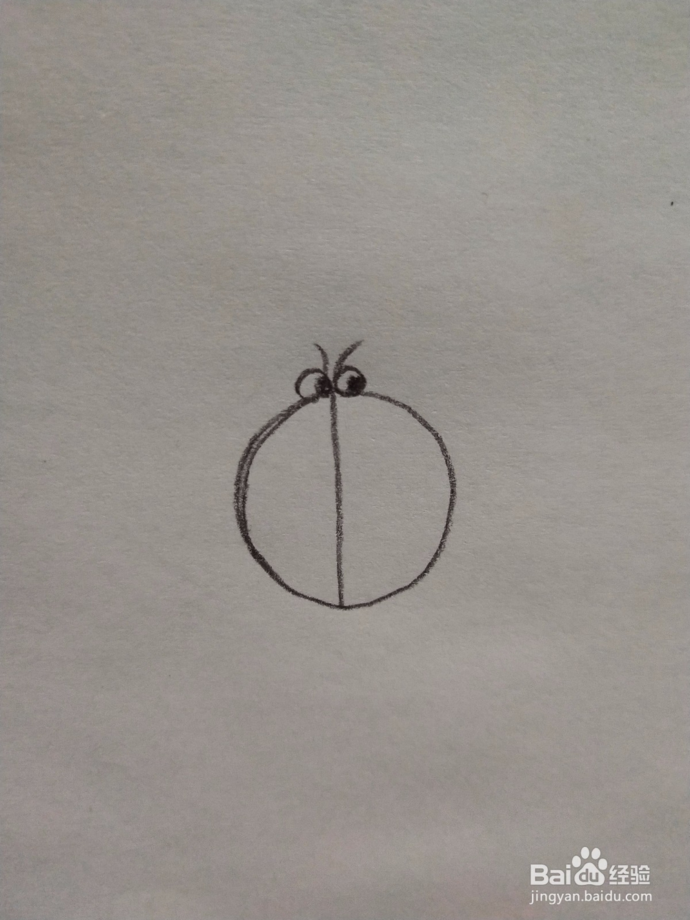 瓢虫简笔画怎么画