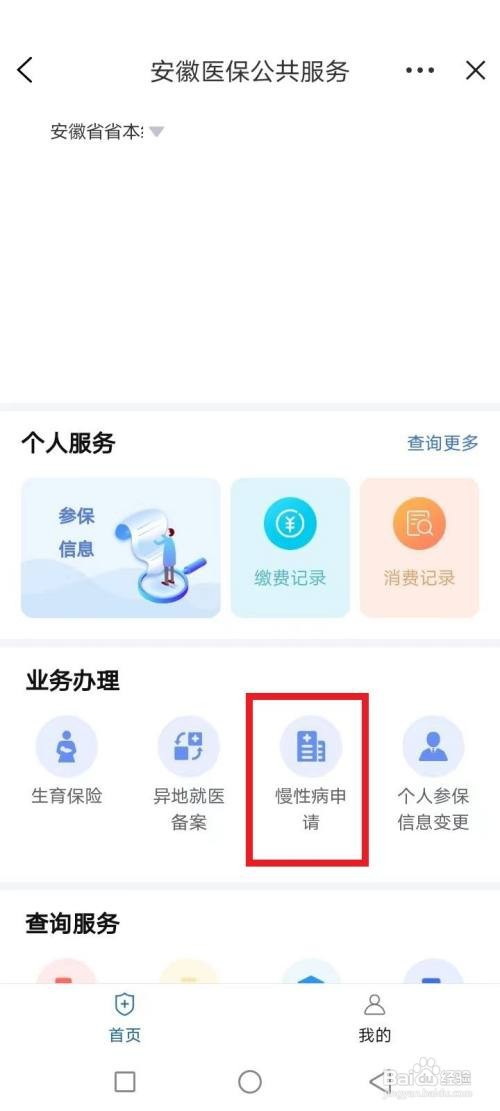 慢性的病网上怎样申报