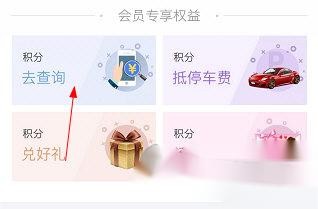 掌尚北国怎么查积分明细