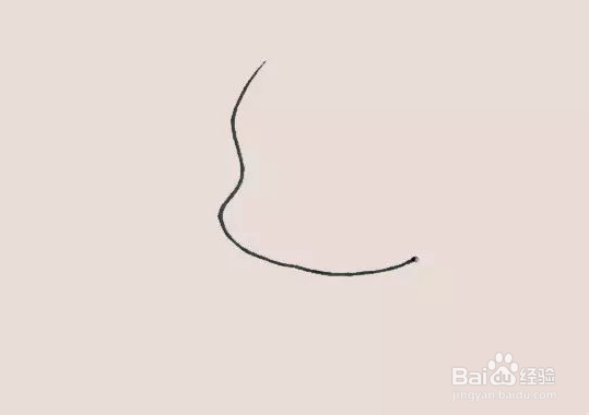 小狗的简笔画
