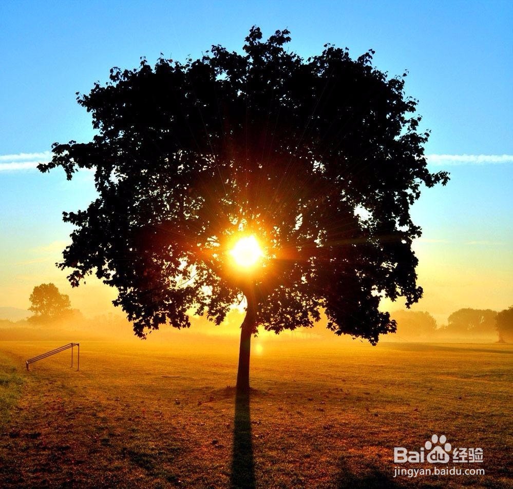 螨虫太多怎么办，教你有效除螨