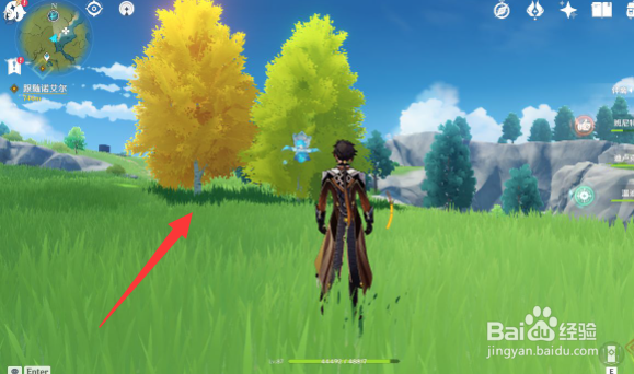 原神桦木怎么获取