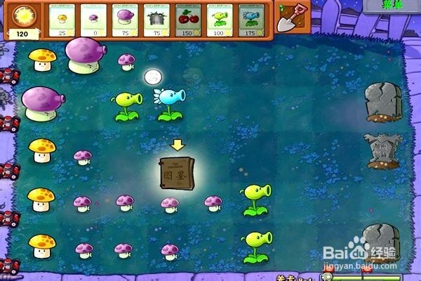 植物大战僵尸通全关的攻略。(十四)