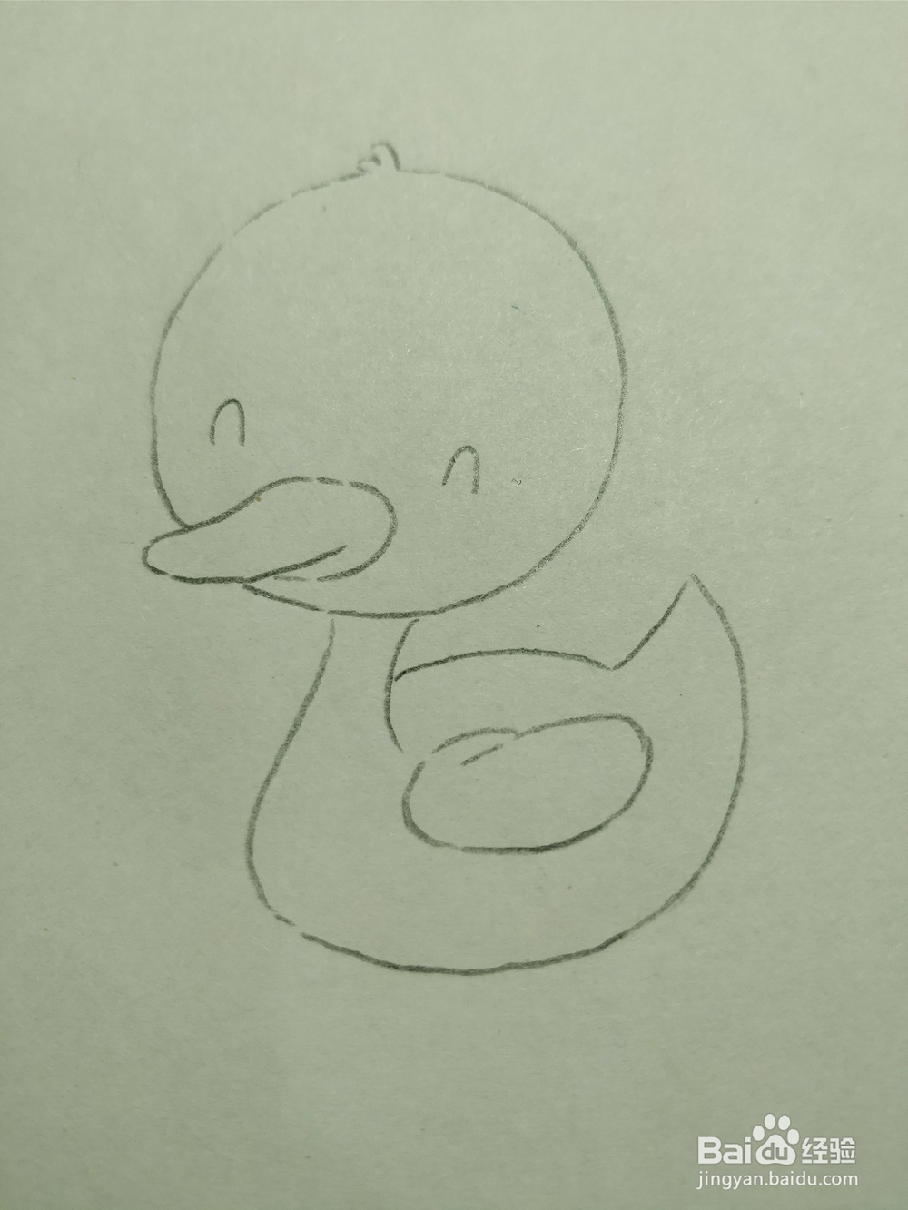 简笔画画卡通可爱小鸭子