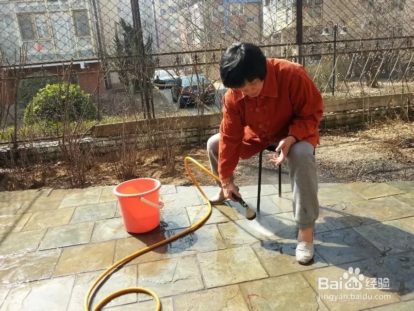 春天到了,自己种点玫瑰