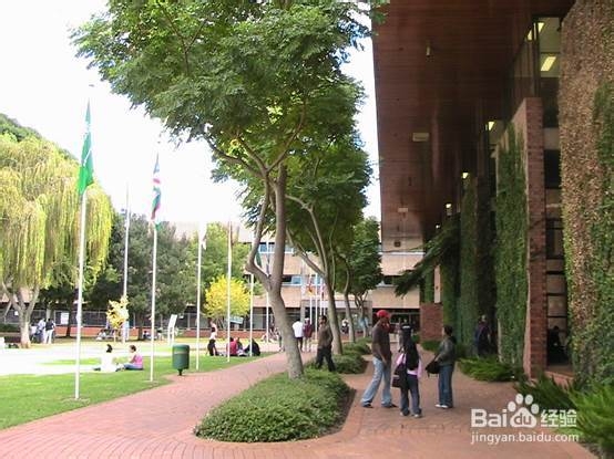 学院街攻略：[54]南昆士兰大学图书馆攻略