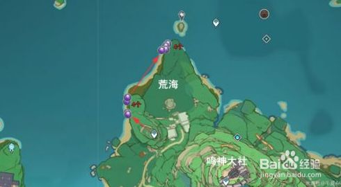 原神稻妻城紫晶块采集路线