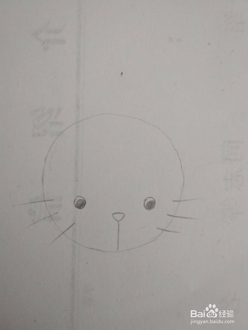 多妈简笔画小动物一只简单的小猫