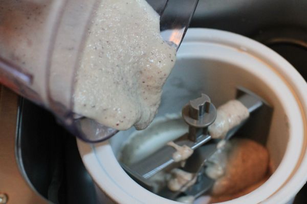 榴莲黑糯米椰浆冰淇淋