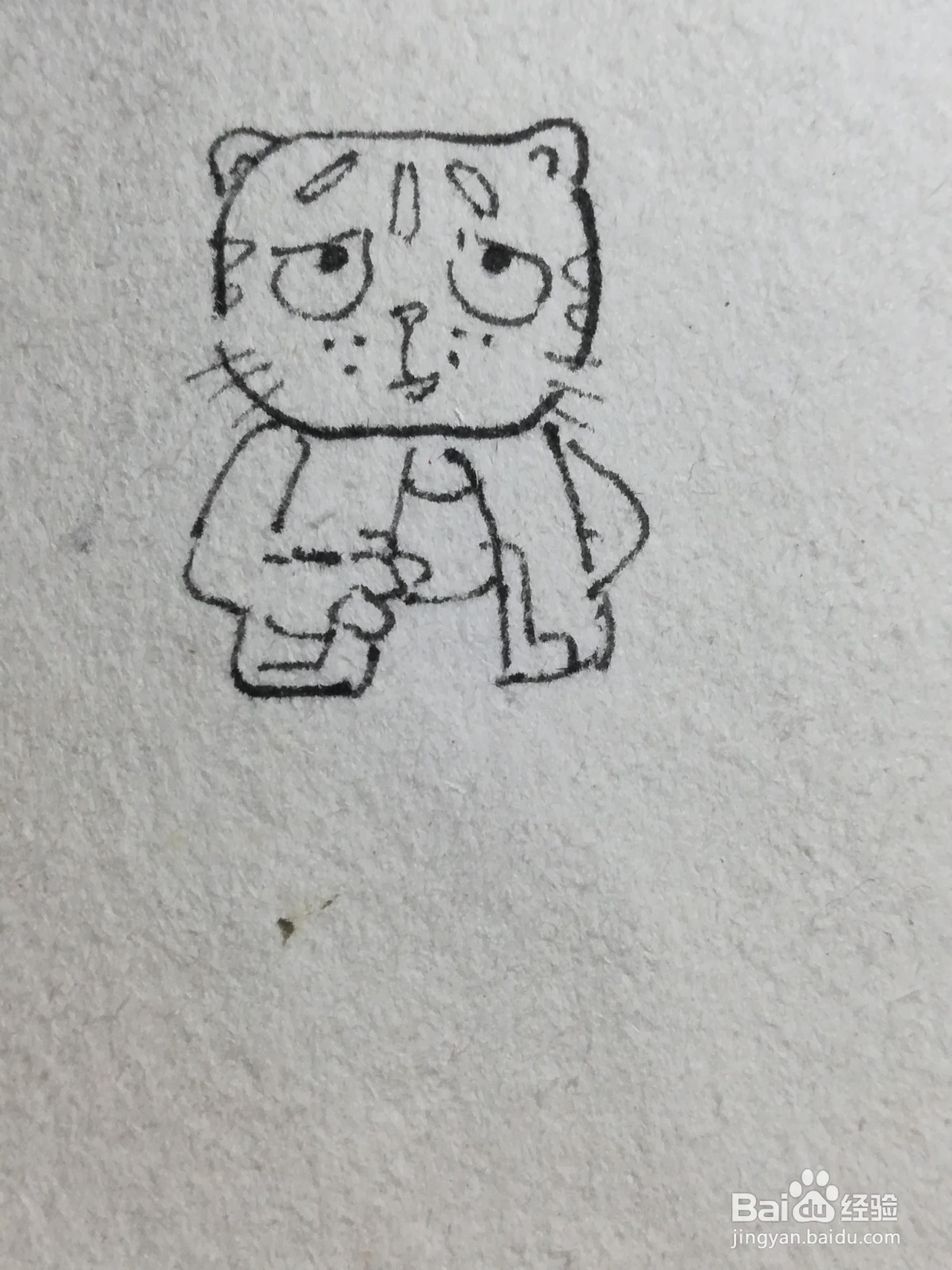 怎么画卡通大脸猫