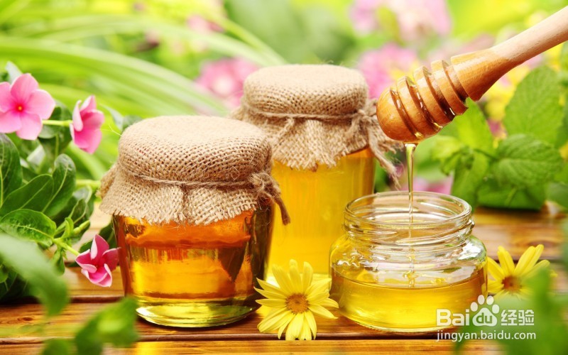 蜂蜜来袭，快来选择适合你的那只吧~