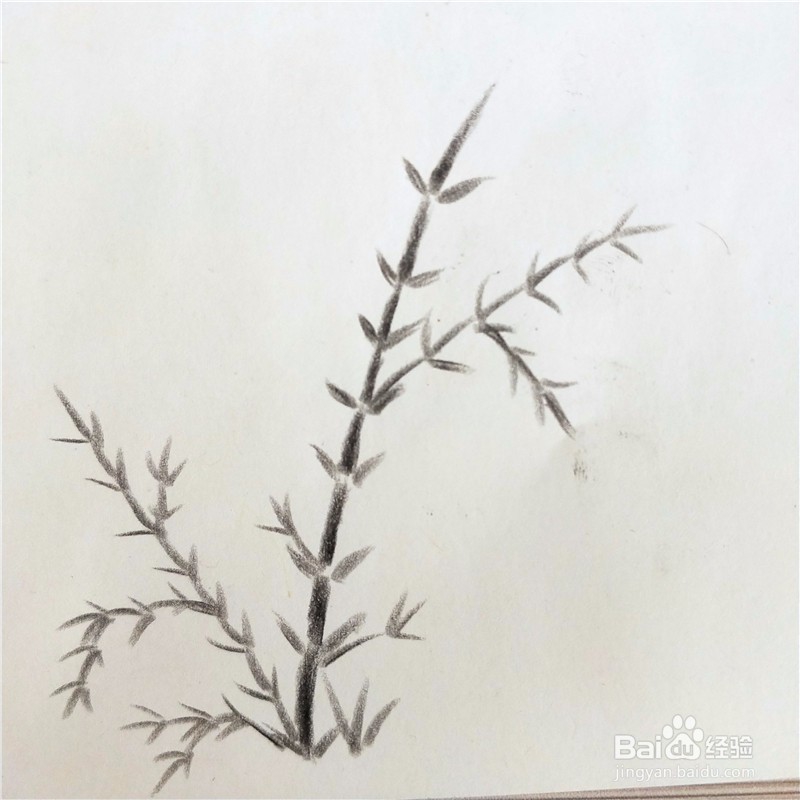 怎么画竹子的简笔画？
