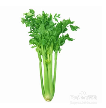 哪些食物不能放在一起吃