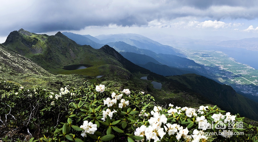 云南大理是每个情侣都梦想去的地方。