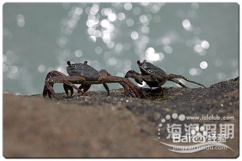塞舌尔沙滩的潜水之旅