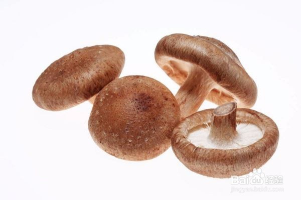 适合做菌菇汤的蘑菇有哪些