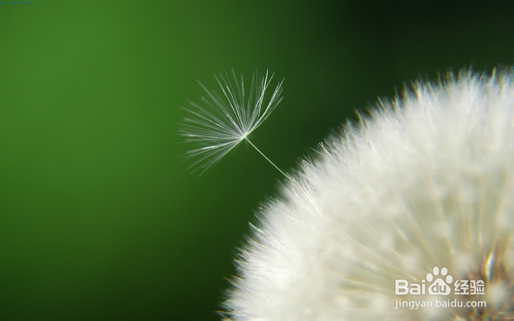 高考饮食四大典型误区