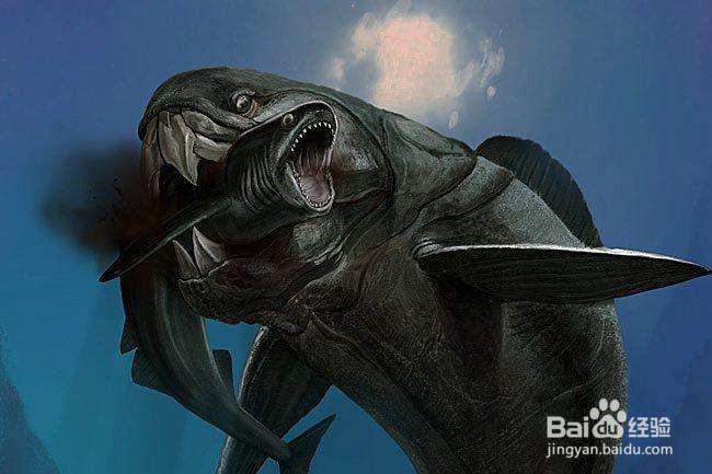 恐龙时代有鲨鱼吗?