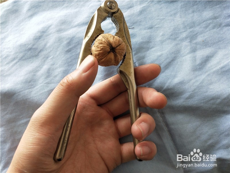 核桃钳子如何轻松快速的打开核桃