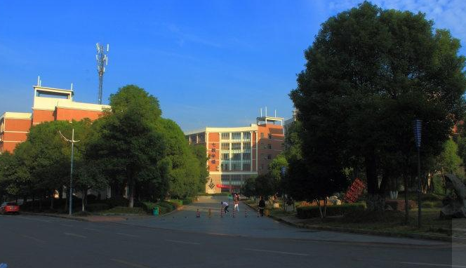 湖南涉外经济学院有专科吗涉外的专科怎么样 有什么专业好