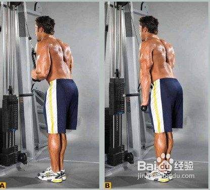 健身达人臂围增长的经验 手臂训练 百度经验