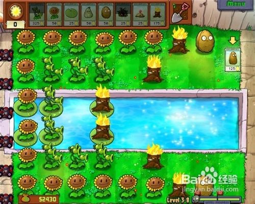 《植物大战僵尸》新手教程及刷钱战术
