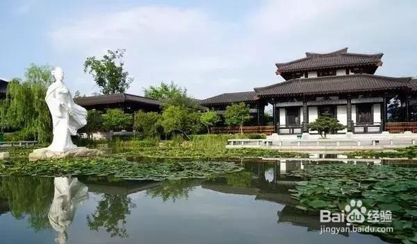 城市发展看江苏，走进县城看振兴-沭阳篇