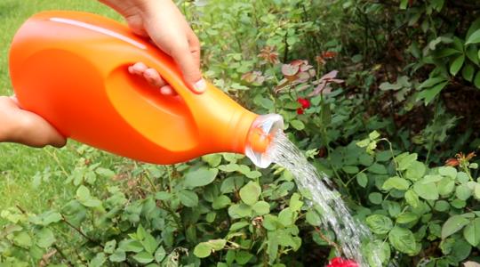 帮妈妈做家务感受之给妈妈浇花