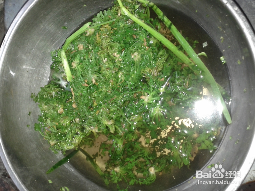 美食天下之野菜馅饺子