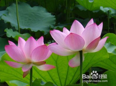 如何与孩子有效的沟通