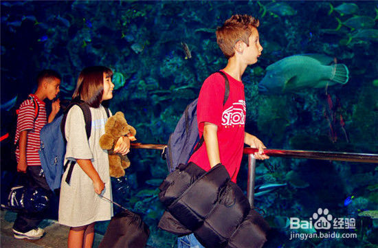 盘点世界十大最酷海底旅馆